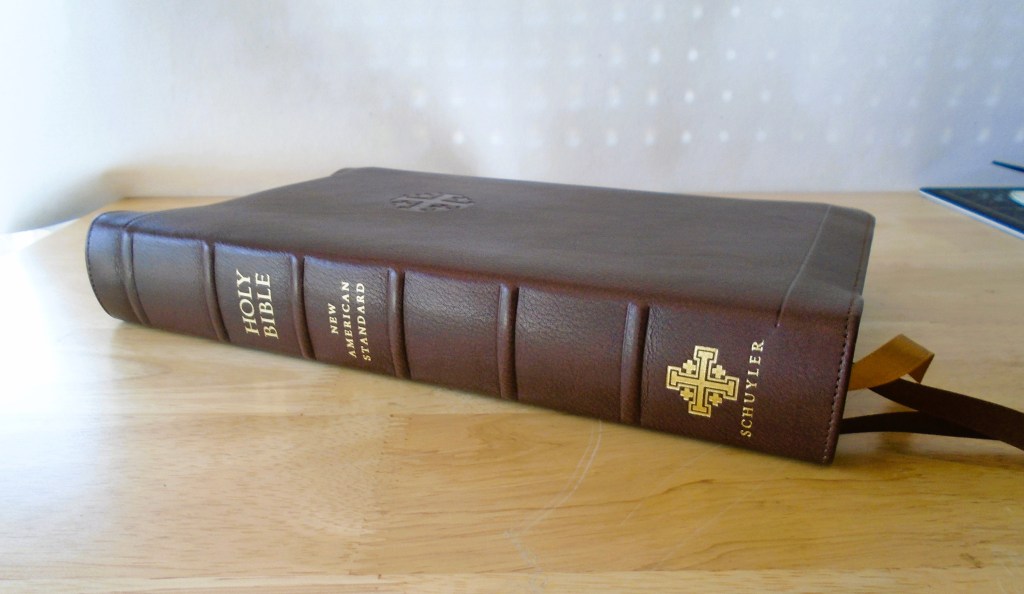 The Schuyler NASB Stridon: an introductory&nbsp;review: